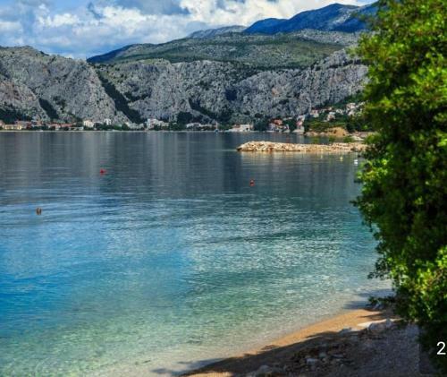 Apartamento Island Luxury View Nemira