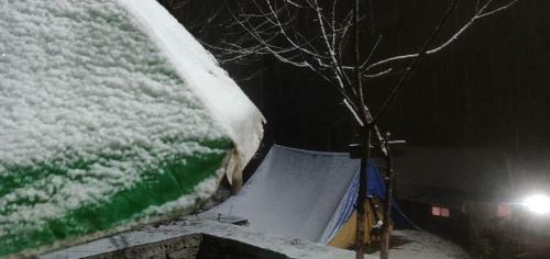 Rebecca Homestay & Camping