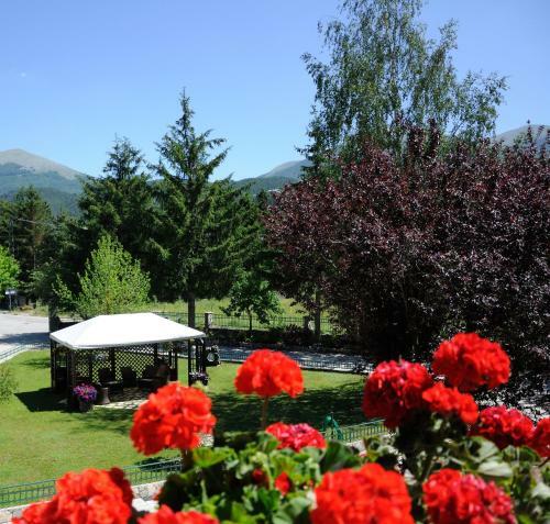 Hotel Iris