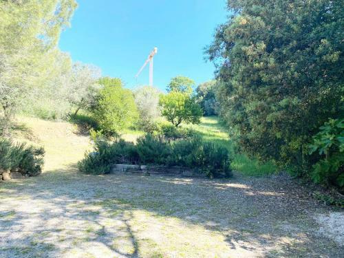 La Casetta Nel Bosco