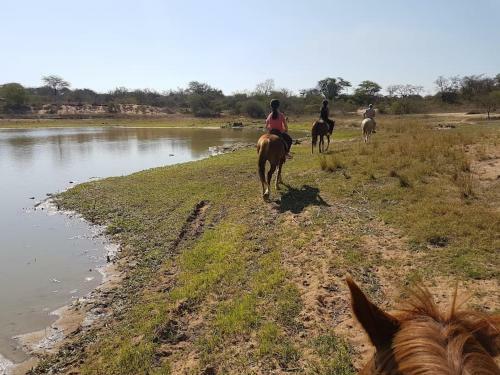 Leadwood Marloth, Kruger Park