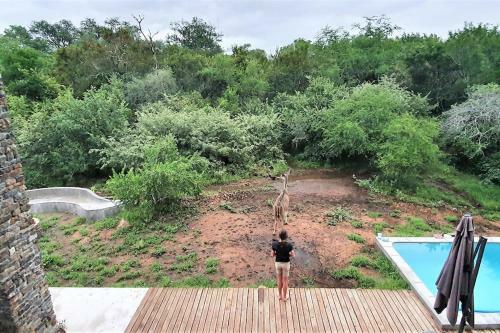 Leadwood Marloth, Kruger Park