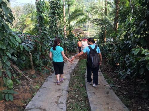 Agroturismo Coorg Estate Stay