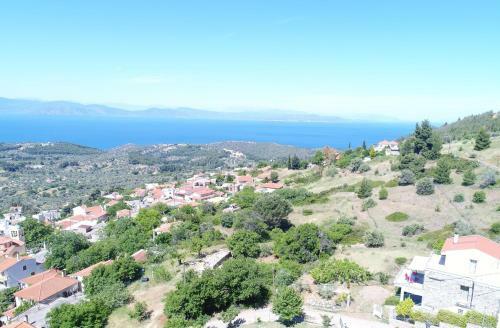 Bella Vista Di Nerotrivia