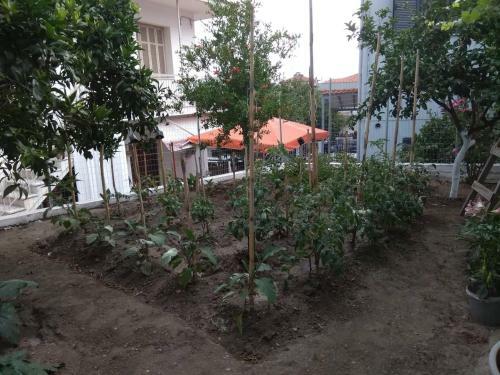 Apartamento Anastasia' S Guest House