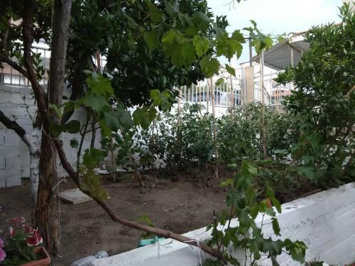 Apartamento Anastasia' S Guest House