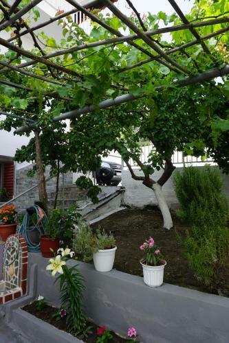 Apartamento Anastasia' S Guest House