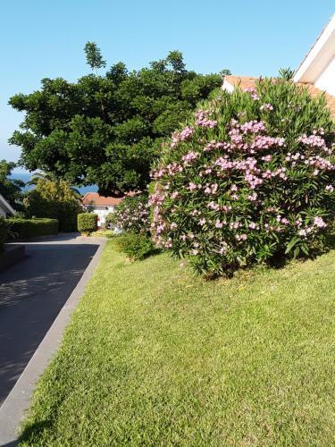 Apartamento Holiday Homes Cefal�