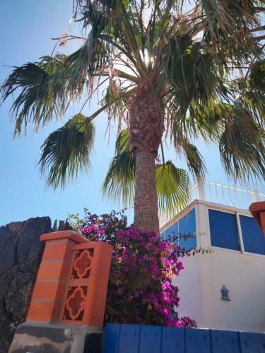 Villa Rosa Meravigliosa Con Piscina Interna
