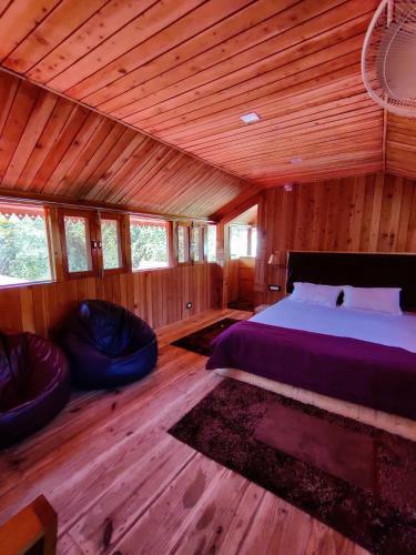 Bed & Breakfast The Orchard