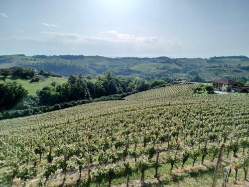 Apartamento Casa Vacanze Dogliani