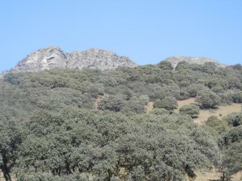 Apartamentos Rurales En Plena Sierra