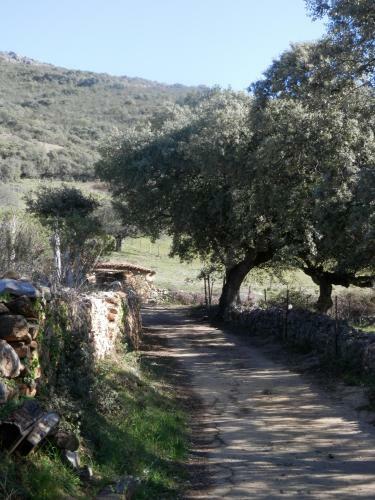 Apartamentos Rurales En Plena Sierra