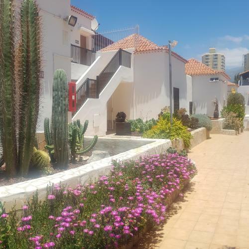 Apartamento Las Americas Paraiso Royal