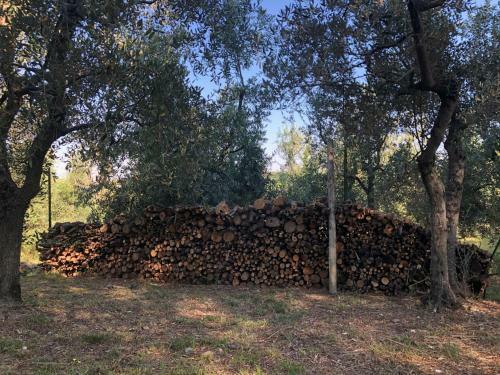 Agroturismo Podere Casato