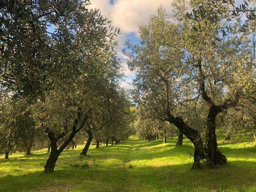 Agroturismo Podere Casato