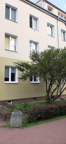 Mieszkanie Apartament ?widnik