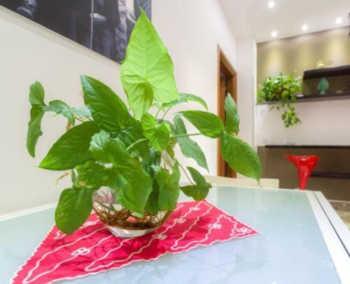 Bed & Breakfast Porta Nuova