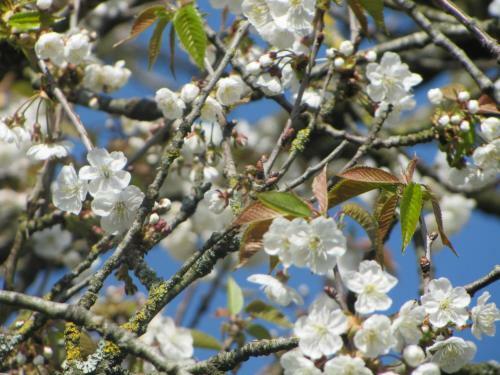 Hostal Les Charmes Du Petit Pr�