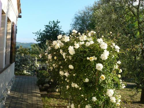 Agroturismo Il Palazzo Dei Diavoli