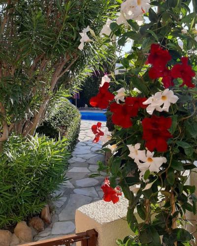 House In Eva Gardens With Pool And Garden