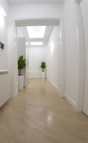 Momo 123 Apartments