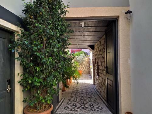 Hotel Fiore Garden Suites By Alp Pasa