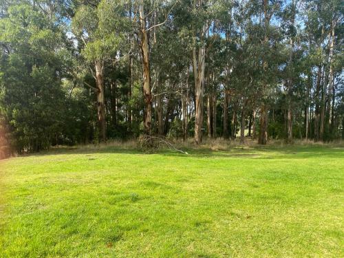 Forrest Holiday Park