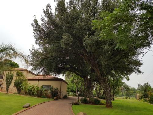 Apartamento Cork Tree Country Cottage
