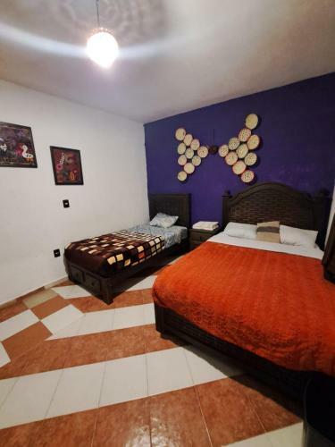 Suites San Crist�bal