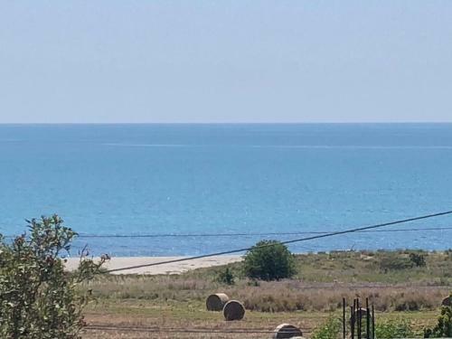 Apartamento Appartamento L'ulivo