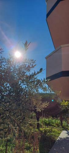 Apartamento Appartamento L'ulivo