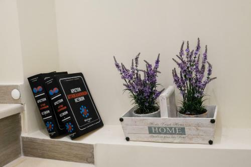Apartamento Fontana Di Corfu 4