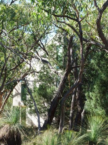 Aquila Eco Lodges