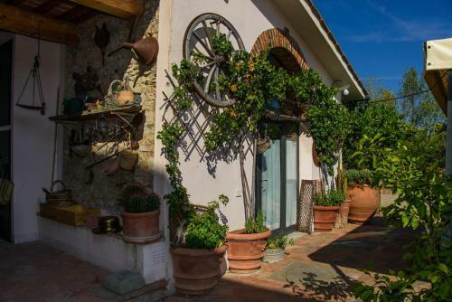 Agroturismo Agriturismo Olmi Grossi