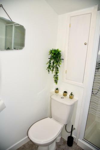 Fern Villa