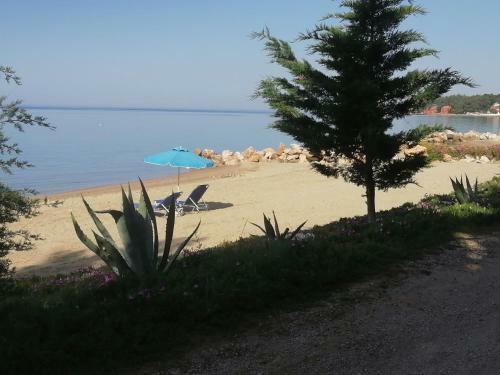 Porto Almira Beachfront Apartments