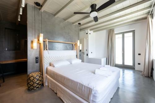 Villa Arleta In Punda Beach Paros For 8 With Private Pool