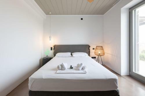 Villa Arleta In Punda Beach Paros For 8 With Private Pool