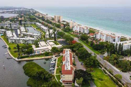 Longboat Palms