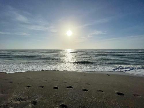 Venice Island - Dog Friendly - Walk To Beach - Work Ready