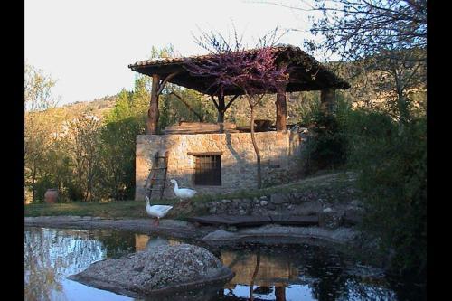 Agroturismo Fokaeon Farm
