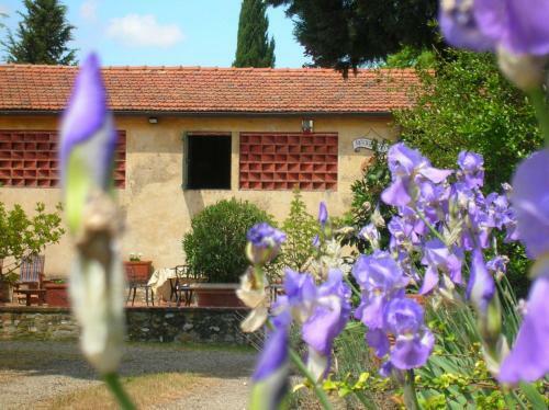 Agroturismo Agriturismo Le Pianore
