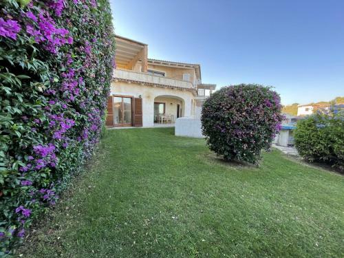Apartamento Belvedere 27 Lt 1