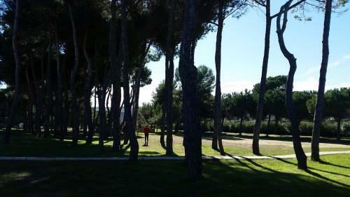 Apartamento Micaene