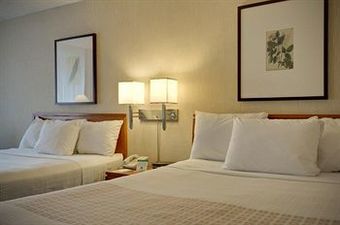 Hotel Vagabond Inn Executive Old Town