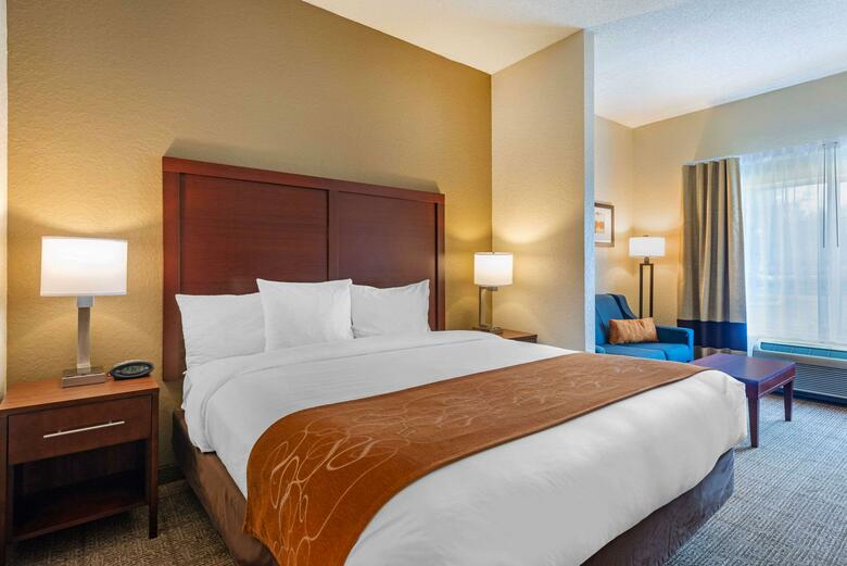 Hotel Comfort Suites Downtown Orlando