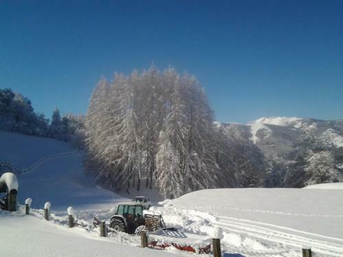 Agroturismo Agriturismo Le Radici