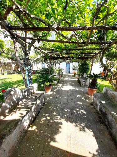 Apartamento O' Suppigno - Historic House