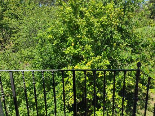 Apartamento Mirador R�a de Pontevedra